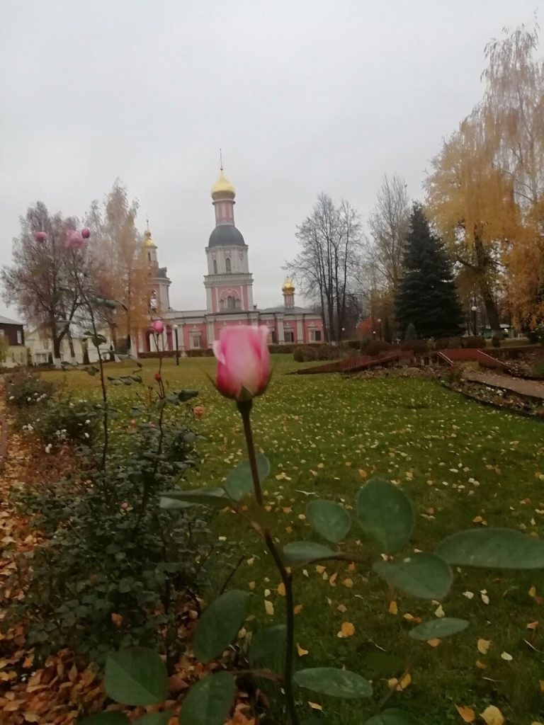 Частная школа Сергия Радонежского на Ботанический сад